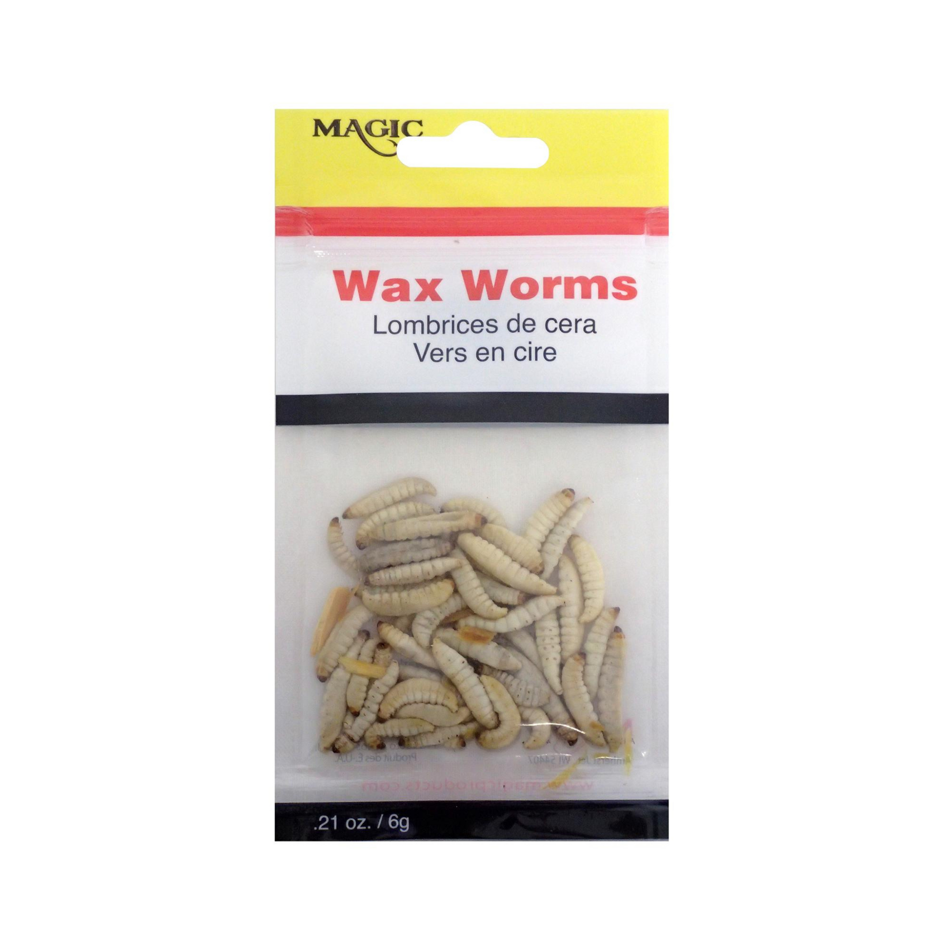 Magic Wax Worms – Erie & Creek Tackle