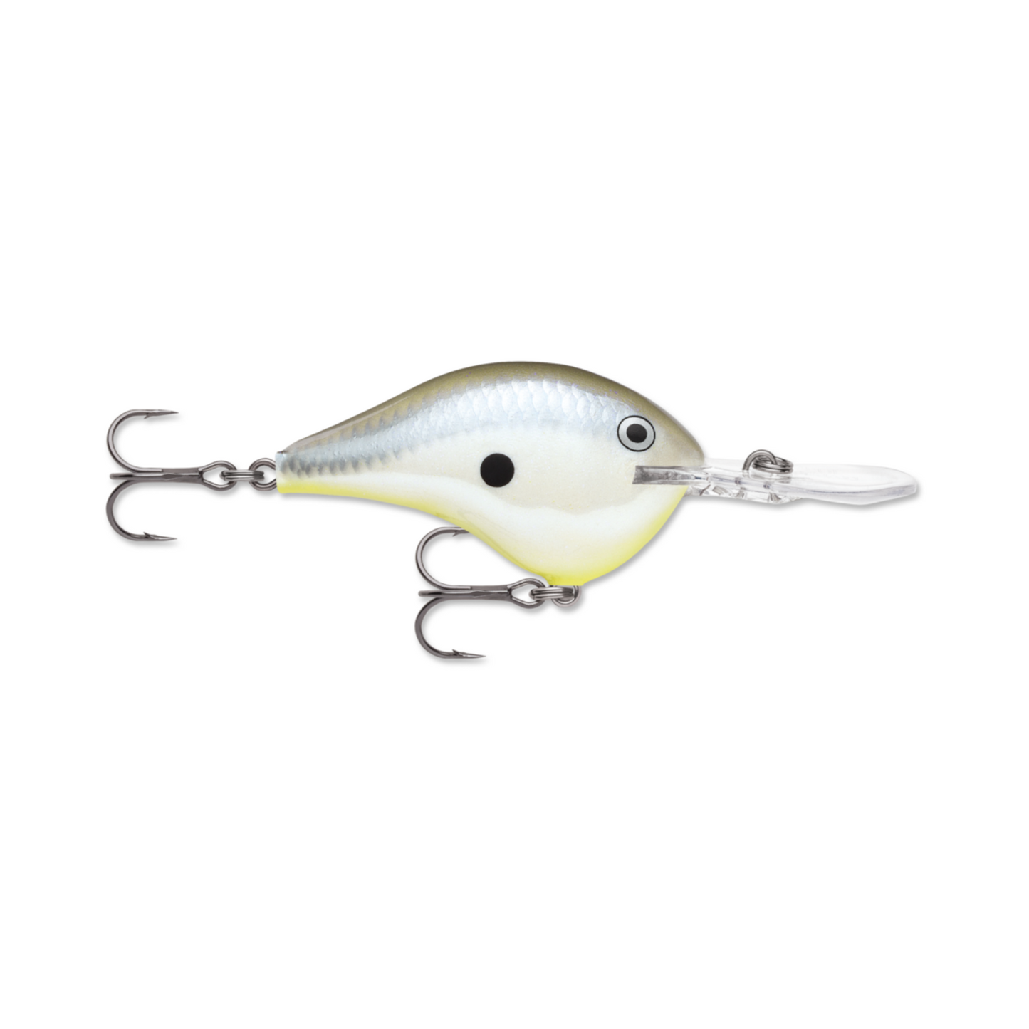 Rapala DT (Dives-To) Series | Outdoor Sporting Goods Store
